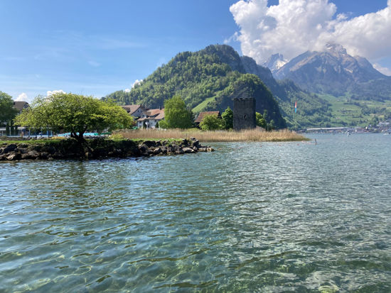 Bild von Eintritt Erwachsene